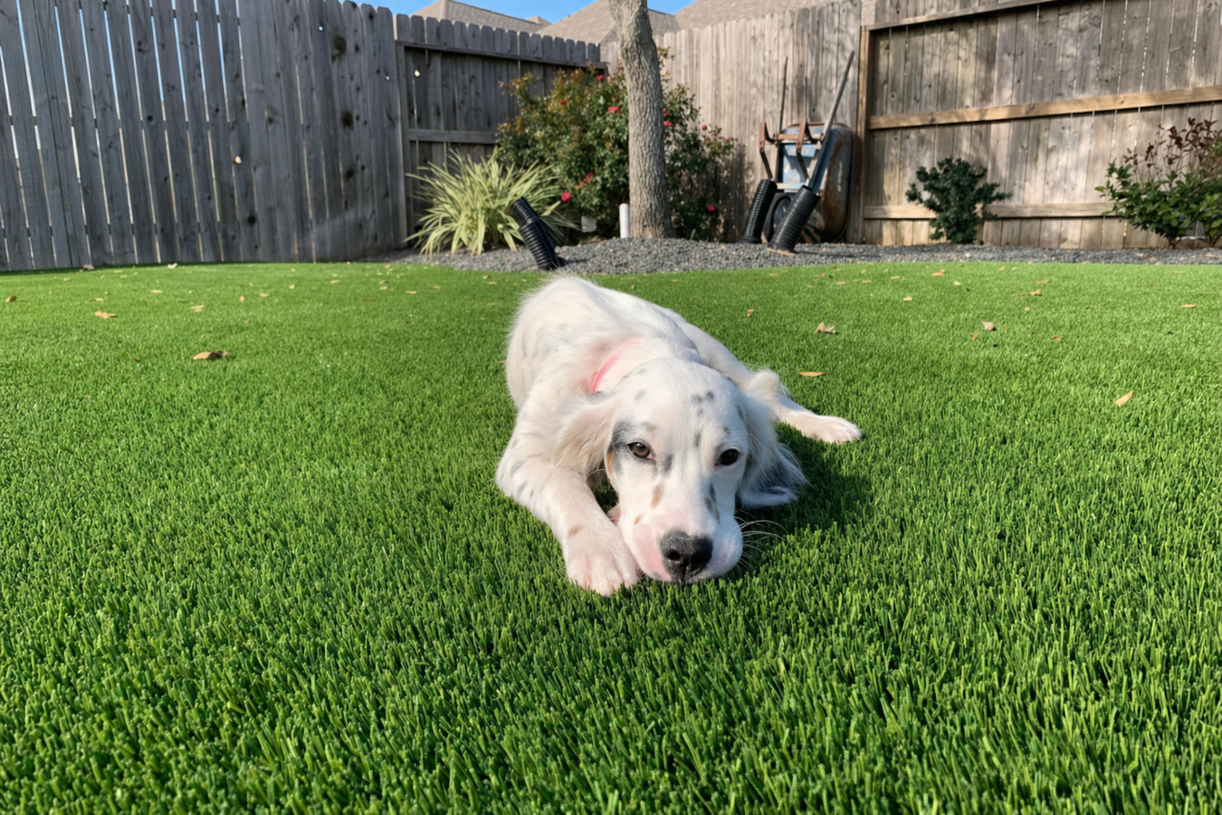 Pet-friendly turf